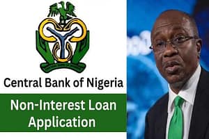 nirsal non interest loan household