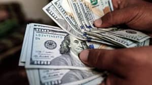 Online Investment Platforms That Pays Daily In Nigeria